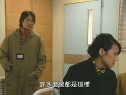 栋笃神探,智慧与幽默交织的侦探传奇