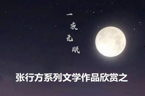 无眠之夜 2020,揭秘年度科技盛会的璀璨瞬间