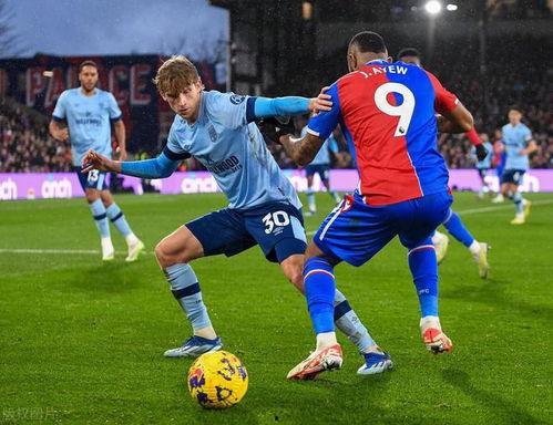 23-24赛季足总杯 布伦特福德vs狼队,布伦特福德与狼队巅峰对决”