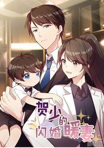 一夜惊喜：陆总的闪婚甜妻,陆总的甜蜜闪婚之旅